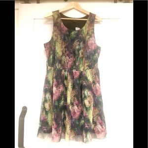 Claude Monet Floral lined Tulle 1x Plus Size Dress